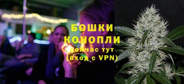 сатива Абдулино