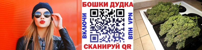 Шишки марихуана марихуана Иваново